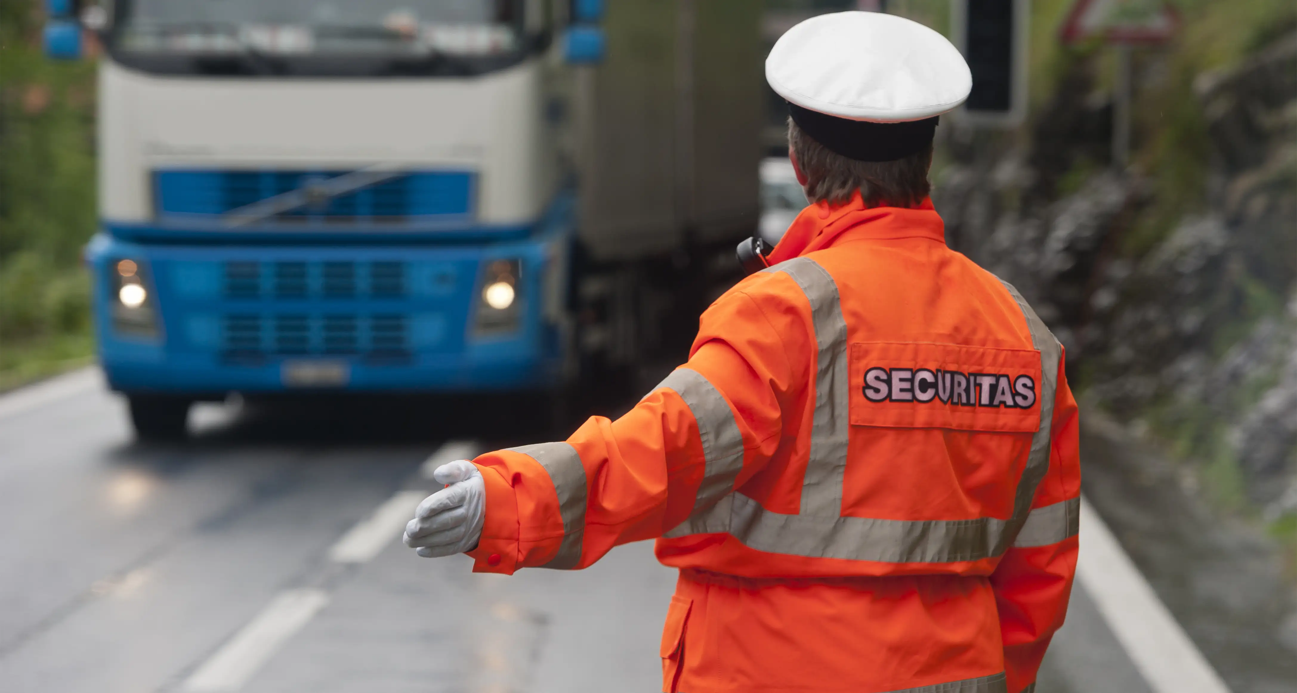 Customer profile user interface