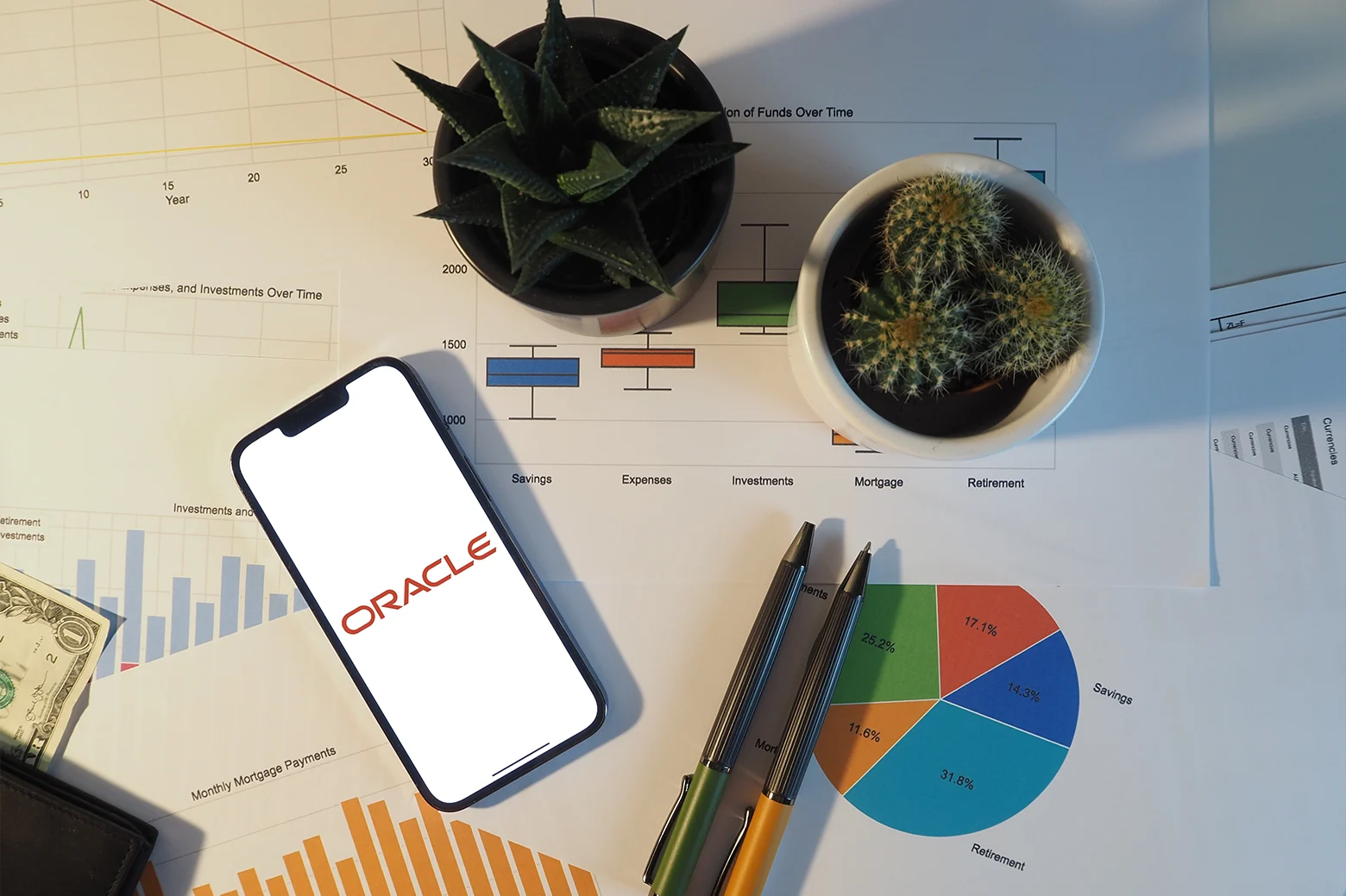 Customer profile user interface