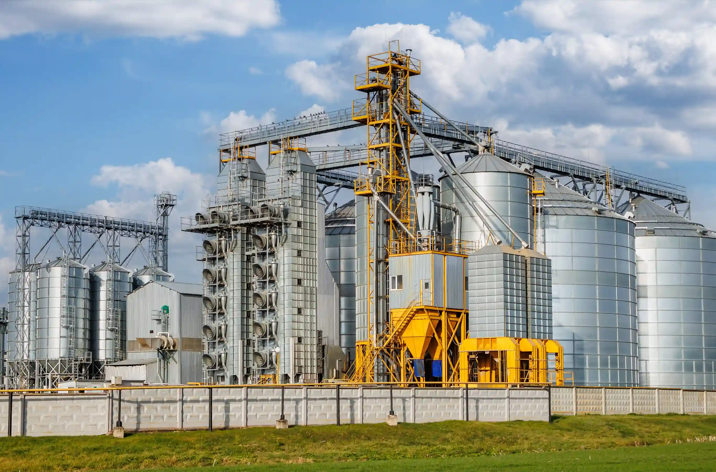 Manufacturing Industry Giant Implements Asana for IT Project Excellence