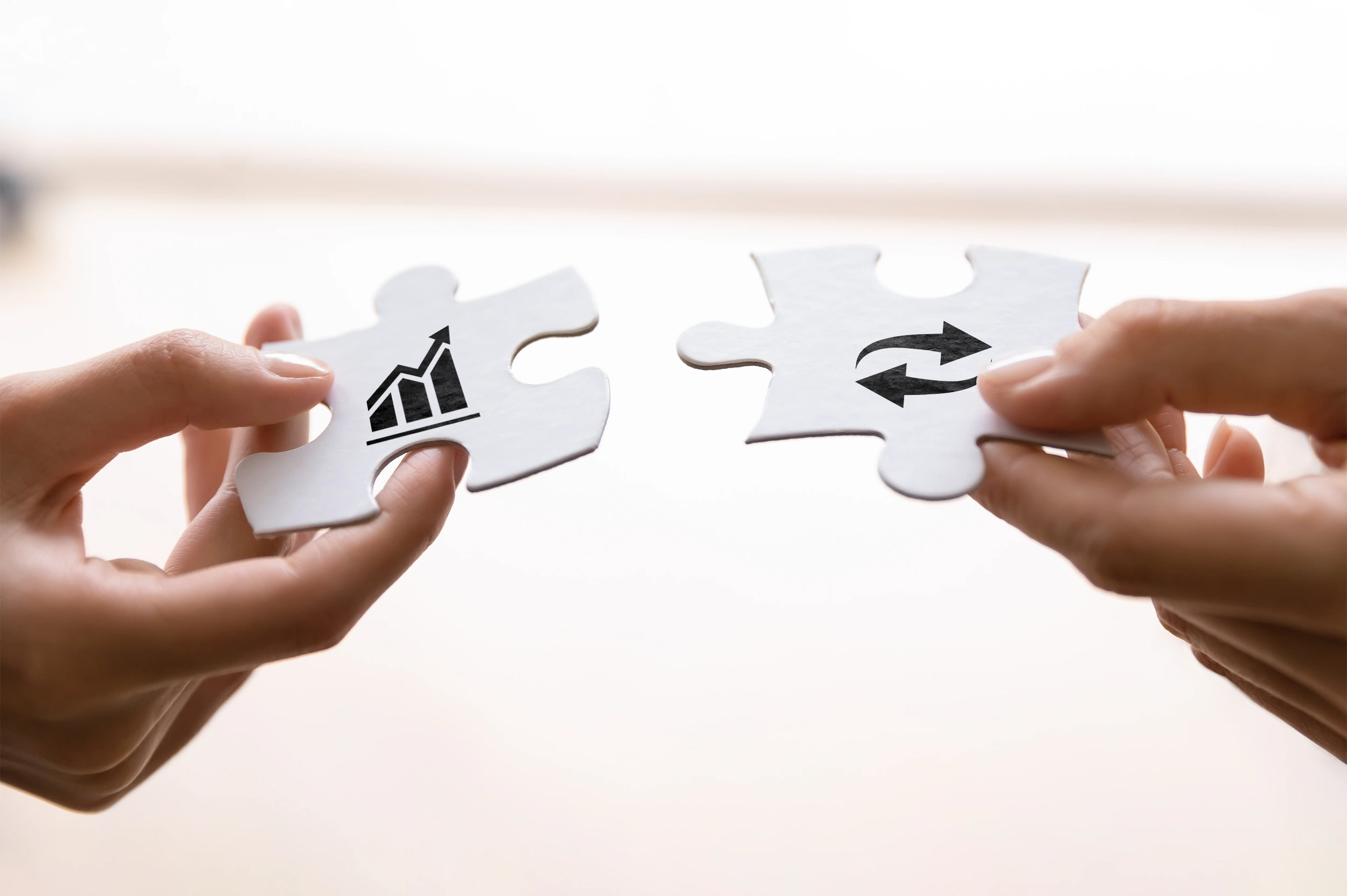 Customer profile user interface